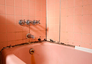 Reforma de baños con moho